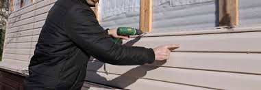 Best Siding Painting and Refinishing  in Williamstown, WV